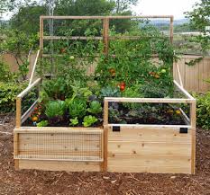 Raised garden bed with privacy fence. 3 X 6 Raised Garden Bed With Hinged Fencing And Trellis Eartheasy Com