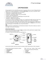 Check spelling or type a new query. Life Processes