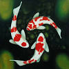 Get customized and affordable metal fish wall art decor to suit your character. 1
