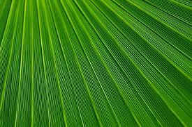 Jun 01, 2018 · background ppt teknik paling keren hd gratis. Wallpaper Dan Latar Belakang Hijau For Android Apk Download