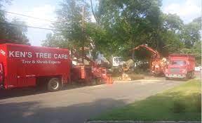 Elmwood park, nj tree services. Tree Service And Shrub Experts Northvale Nj Kens Tree Care Mulch On Sale Where To Buy Mulch Near Me Tree And Shrub Experts