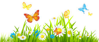 Grass Ground With Flowers And Butterflies Png Clipart Gallery Yopriceville High Quality Images And Trans Butterfly Clip Art Flower Border Clipart Clip Art