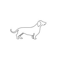 Nice picture of dachshund silhouette on a background of dog tracks in the form of heart on a white background. Dachshund Sketch Vector Images Over 450