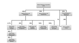 British Petroleum Organizational Structure Essay Example