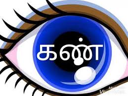 Tamil as a foreign language includes 100 easy lessons (100 lessons are free). Human Body Parts In Tamil Language Youtube