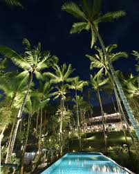 Night At The Cistern The Outdoor Salt Water Pool At Capellaubud Keliki Bali Indonesia Billbensley Land Saltwater Pool Luxury Swimming Pools Luxury Pools