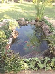 Knee Mats Organic Gardening Supplies Phoenix Az Breaking Gardener Forum Ukulele Underground Gardenin Garden Pond Design Fish Pond Gardens Pond Landscaping