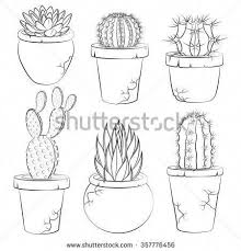 Collection Of Vector Cactuses In Flower Pot Isolated Objects Cactusflower Flower Drawing Cactus Drawing Flower Pots