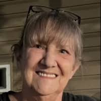 Debra Lea "Deb" Wellman Obituary (2024)