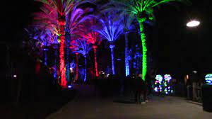 Maybe you would like to learn more about one of these? New Years Eve Gilroy Gardens 2018 19 Youtube