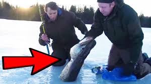 Keeping fish fresh ensures cleanliness, taste, and texture. Ice Fishing Catching Big Fish Through The Ice Youtube