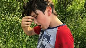 Ein umweltschützer verglich die hitzewelle mit einem asteroideneinschlag. Gzy1imxu1qgt2m