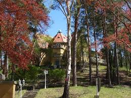 In the autumn of 1919, dahlke also owned a hill in the berlin suburb frohnau, which would be gobbled up by the german. Buddhistisches Haus Berlin Frohnau Tempel Bibliothek Kirche Synagoge Moschee