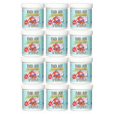 It can simply absorb the odors out of the environment by entrapping the molecules that carry the smell. Bad Air Sponge Air Odor Absorbent 14 Ounce Pack Of 12 Buy Online In Guernsey At Guernsey Desertcart Com Productid 14395022