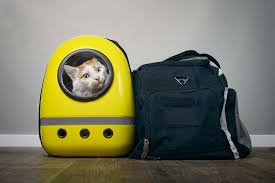 The best backpack cat carrier. P4i9vt3vkyepvm