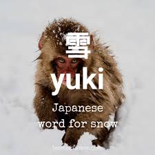 Japanese names usually consist of a surname or family name, which is then followed by the given name. 35 Awesome Japanese Winter Words You Need To Know Team Japanese