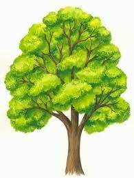 13 contoh gambar 2 dimensi sederhana dan mudah. Contoh Karya Seni Rupa 2 Dimensi Hasil Modifikasi Lukisan Pohon Ilustrasi Pohon Menggambar Pohon