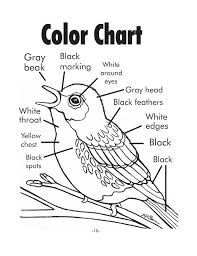 The Best Free Warbler Coloring Page Images Download From 5