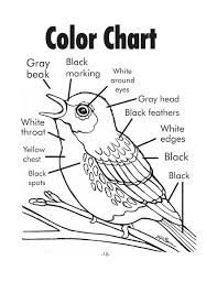 the best free warbler coloring page images download from 5