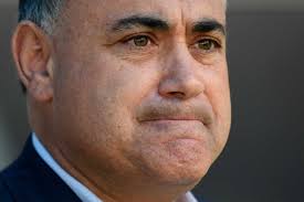 NSW Nationals' koala challenge unwelcome in Macquarie Street, but  'empowering' for regions