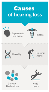 Causes Of Hearing Loss Speech And Hearing Hearing Disability Hearing Loss