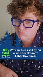 Forest Fire Prevention and Management in Okanogan County