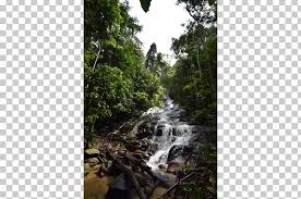 Nov 11, 2016, 13.08 ist. Taman Negara Kuala Lumpur Waterfall Forest Park Kanching Kanching Falls Travel Png Clipart Backpacker Hostel Flora