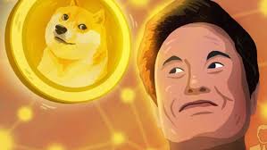 No highs, no lows, only doge, musk wrote. Elon Musk It May Be Time To Buy Invest Big Money In Dogecoin
