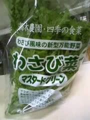葉わさび わさび菜 毎日がどうでしょう