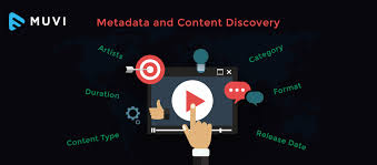 What is Metadata and its role in an audio or video platform