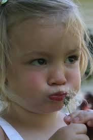 Is there interest in boys high school volleyball in the area?