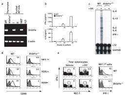 Boulevard flor salvador pdf : Regulation Of Nkt Cell Development By Sap The Protein Defective In Xlp Nature Medicine