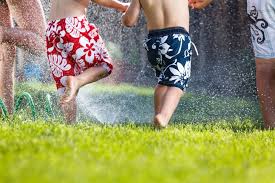 Mosquito control can be tricky. Mosquito Misting Systems Platinum Mosquito Protection