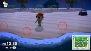 Maybe you would like to learn more about one of these? Acnh Manila Clam How To Get Price Animal Crossing Gamewith