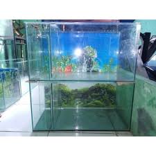 Harga pot mini kaca tiup / akuarium cupang unik size 10cm. Harga Aquarium Koleksi Terbaik Hobi Koleksi Agustus 2021 Shopee Indonesia
