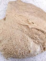 Eksi Maya Tasdibi Firin Glutensiz Yiyecekler Esnaf Ekmek Glutensiz Tatlilar
