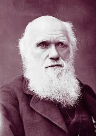 Charles Darwin (English Naturalist) ~ Bio Wiki