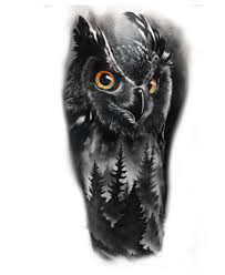 Pin De Rodolfo Camacho Em Owls Cobertura De Tatuagem Feminina Tatuagem De Coruja Cobertura De Tatuagem Tales of lechuza are quite popular in mexico and texas. pinterest