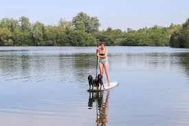 Planning a dog friendly holiday? Dog Friendly Holidays Uk Log House Holidays 2021 2022