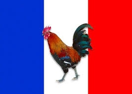 The Gallic Rooster Is A National Symbol Of France National Animal Animals National Symbols