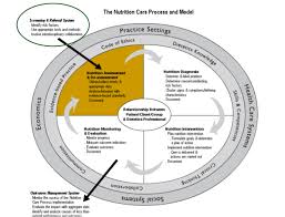 Nutrition Care And Process Model Nutrition Food Psychology Care