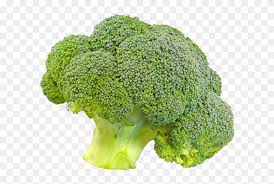 broccoli png transparent photo broccoli transparent background png download 720x720 283165 pngfind broccoli png transparent photo