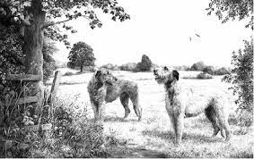28.02.2022 · the late story artist joe ranft is named a disney legend. Irish Wolfhound Art Prints Mike Sibley Malcolm Coward Paul Doyle