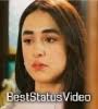 We did not find results for: Jumma Mubarak Status Video Download Share Chat Pakistani