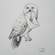 Hedwig Harrypotter Harrypotter Harrypotterfan Hedwig Art Artist Drawing Paintings Graphics Illustration Creative Creativity Blackwhite Owl Risunki In this video i'll show you how to draw harry potter's owl hedwig flying while carrying an envelope step by step! hedwig harrypotter harrypotter