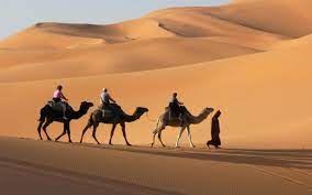 For a successful calculation you need to enter at when you know these parameters, enter them into the trip cost calculator above and it will spit out an estimate. What Is A Dromedary Wonderopolis