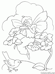 Letter b is for bear coloring page from letter b category. Coloring Page Girl Elf And A Bird