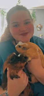 Guinea pigs for rehoming in McKeesport
