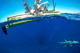 Take your fishing game to the ocean with these best ocean kayaks that we recommend. Kayak Fishing What About The Sharks Railblaza