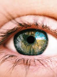 Keep Your Eyes Healthy The Mirror Photos Of Eyes Eye Photography Aesthetic Eyes